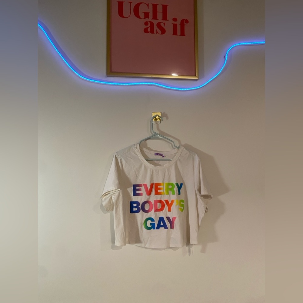 Everybody’s Gay cropped top size 2X
